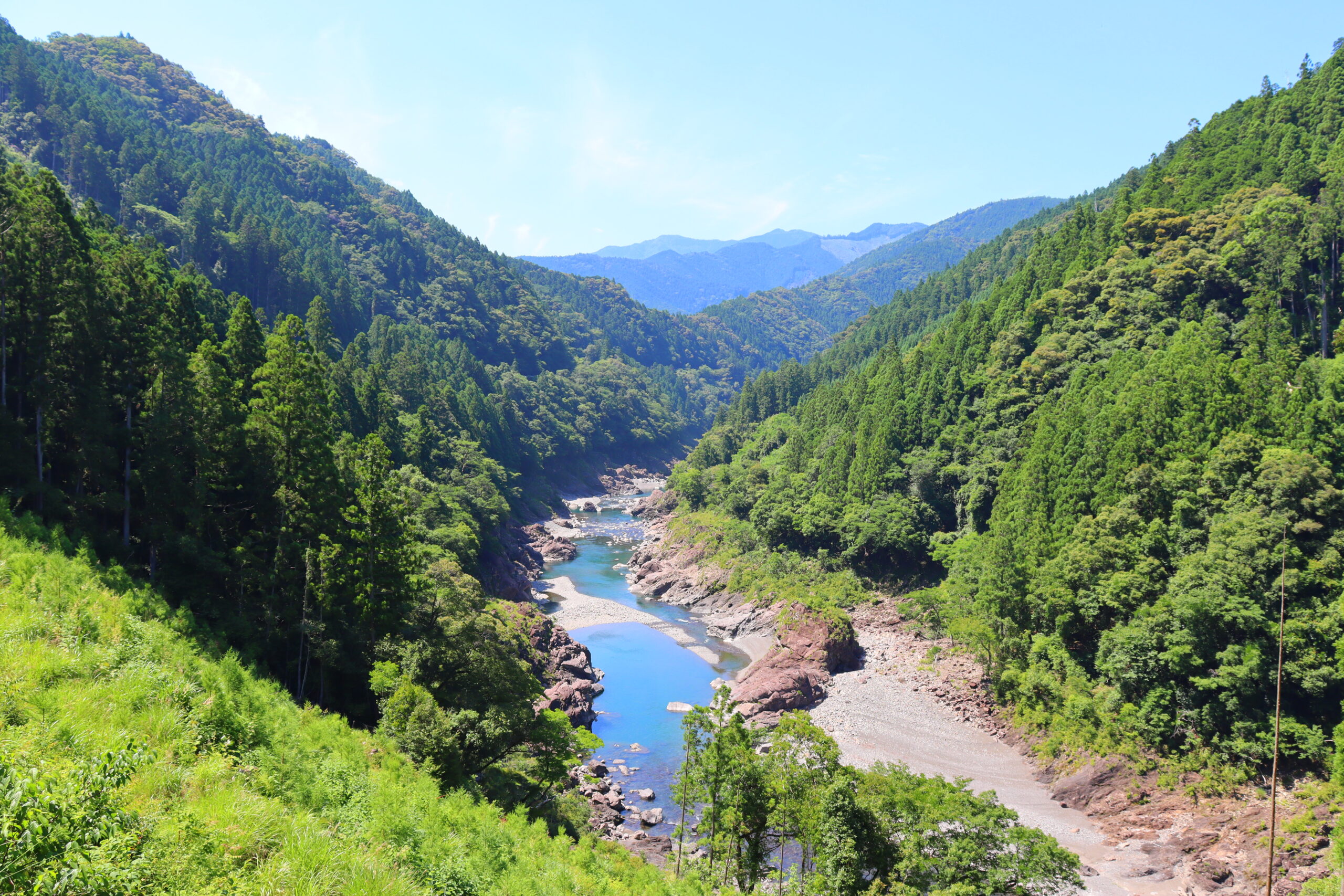 木頭すぎ（徳島すぎ）ブランドとは？