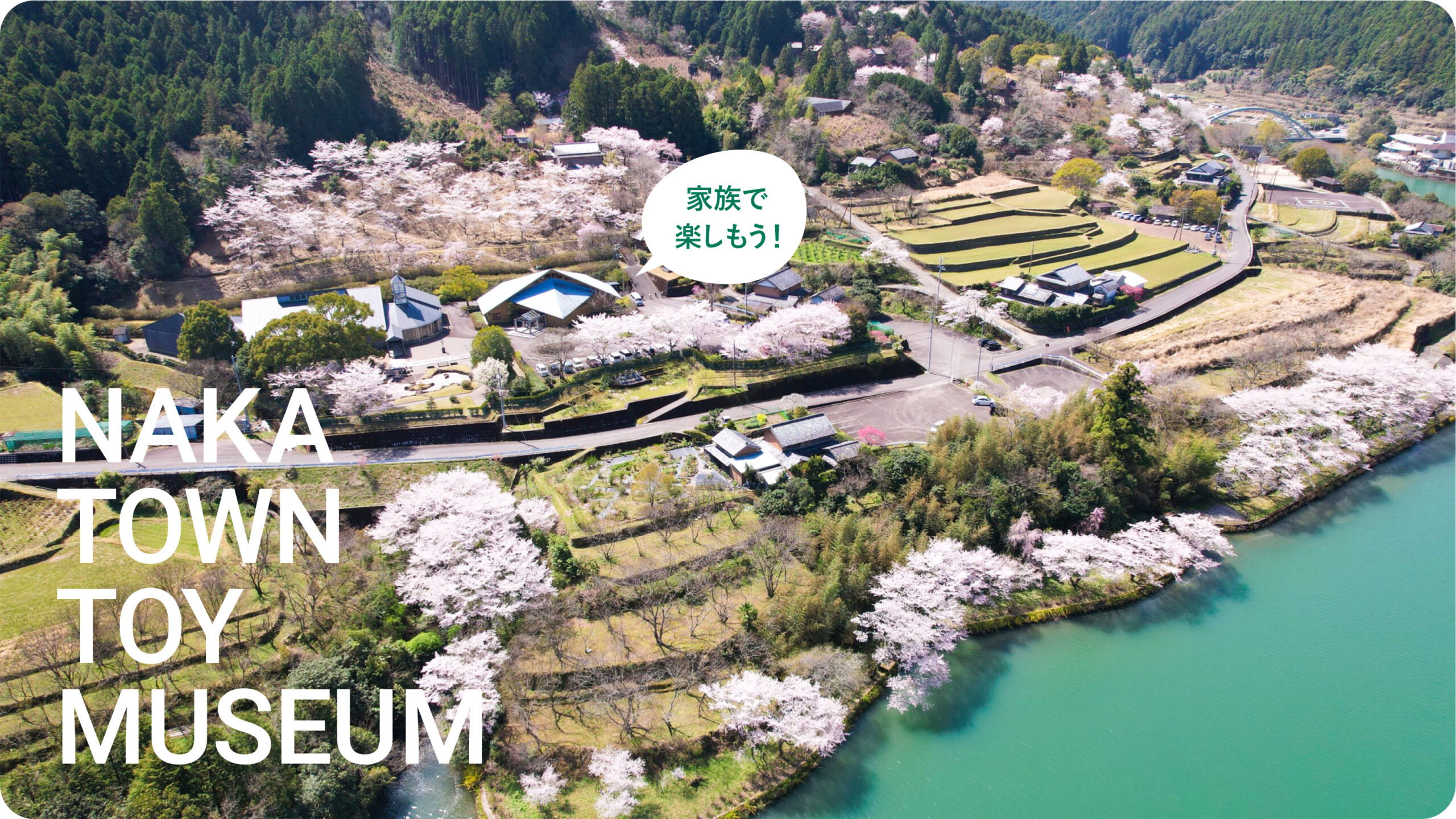 脱炭素にもつながる？『木育』とは